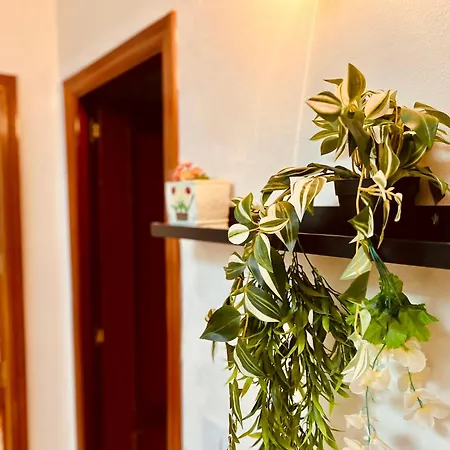 Refugio De La Calma * Firgas