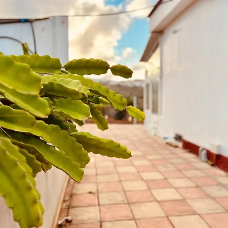 Refugio De La Calma * Firgas