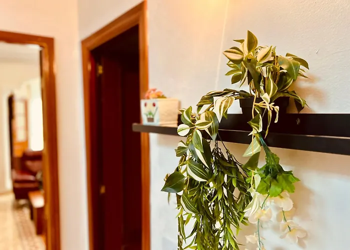 Refugio De La Calma * Firgas