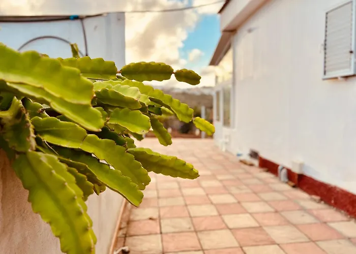 Refugio De La Calma * Firgas